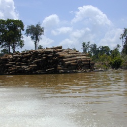 2003