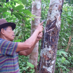 2004