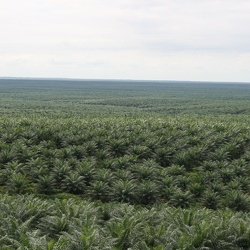 2008